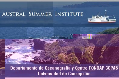 Austral Summer Institute